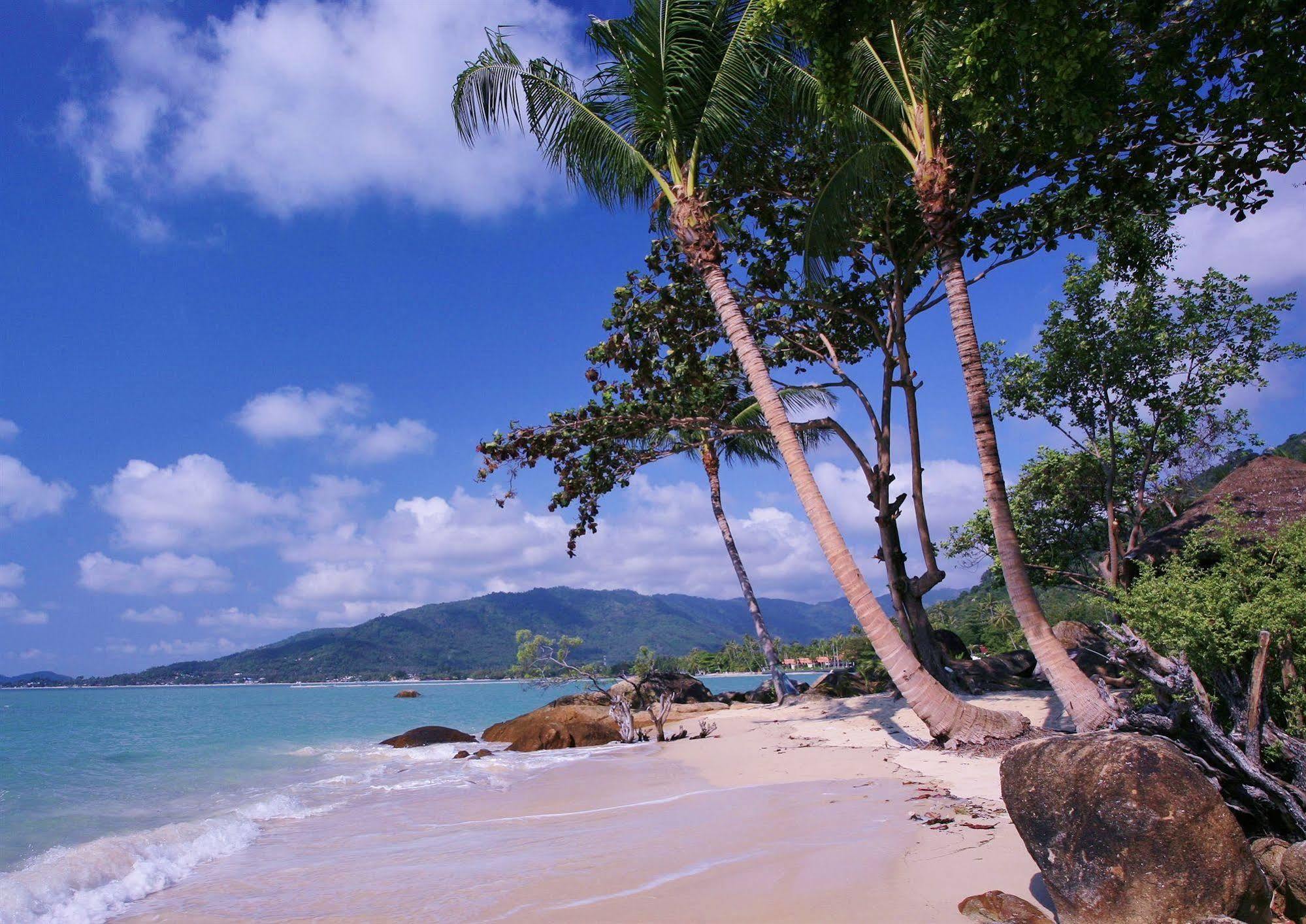 Lamai Bay View Resort Ko Samui Eksteriør bilde